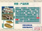 荃爱功效