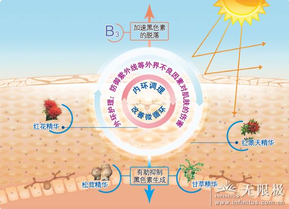 2D2C美白调理系统 2D2C美白调理系统