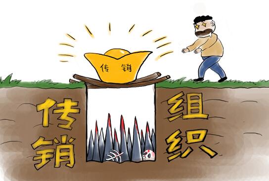 借“千木灵芝”非法集资 9万人被骗涉案41亿元