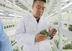 绿之韵胡国安先生入选长沙市高层次人才