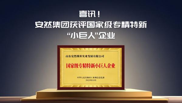 安然集团获评国家级专精特新“小巨人”企业